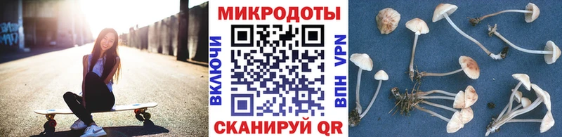 Купить где Жуков Галлюциногенные грибы Cubensis